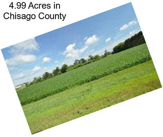 4.99 Acres in Chisago County