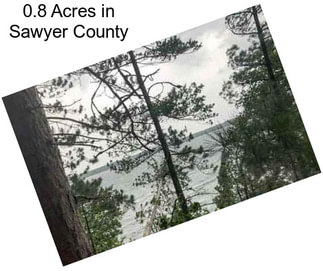 0.8 Acres in Sawyer County