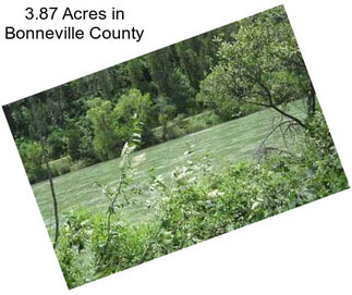 3.87 Acres in Bonneville County