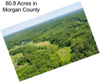 60.8 Acres in Morgan County
