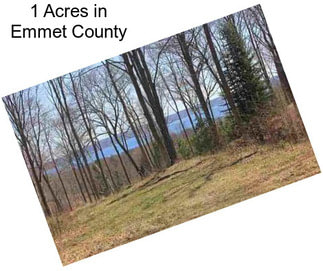 1 Acres in Emmet County