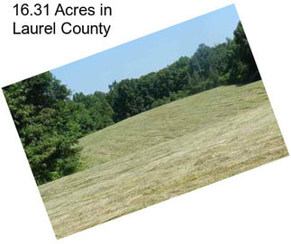 16.31 Acres in Laurel County