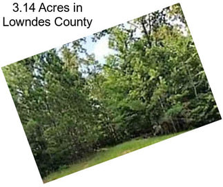 3.14 Acres in Lowndes County