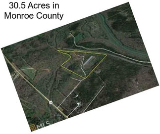 30.5 Acres in Monroe County