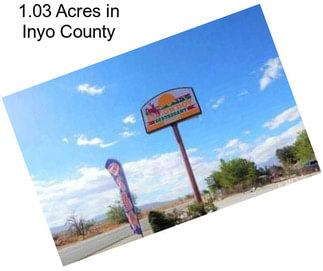 1.03 Acres in Inyo County