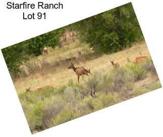 Starfire Ranch Lot 91