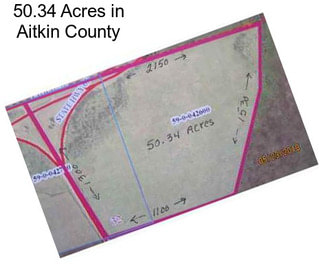 50.34 Acres in Aitkin County