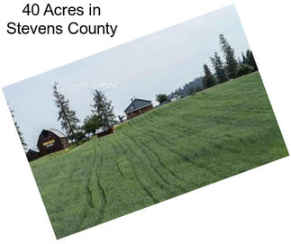 40 Acres in Stevens County