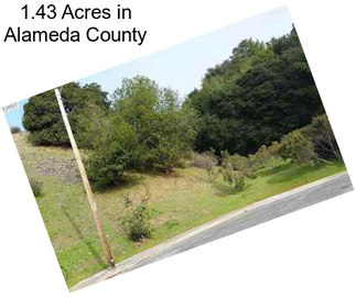 1.43 Acres in Alameda County