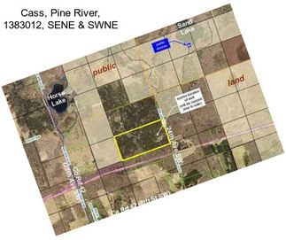 Cass, Pine River, 1383012, SENE & SWNE