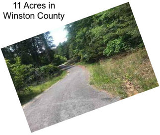 11 Acres in Winston County