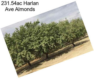 231.54ac Harlan Ave Almonds