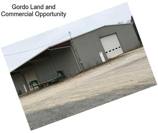 Gordo Land and Commercial Opportunity