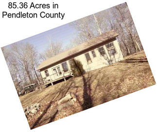 85.36 Acres in Pendleton County