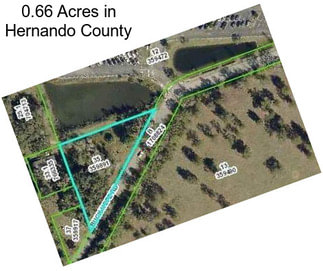 0.66 Acres in Hernando County