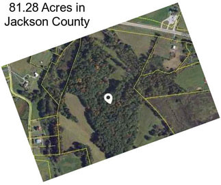 81.28 Acres in Jackson County