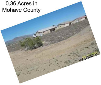 0.36 Acres in Mohave County