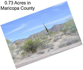 0.73 Acres in Maricopa County