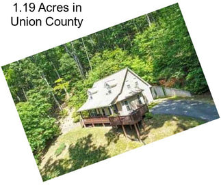 1.19 Acres in Union County