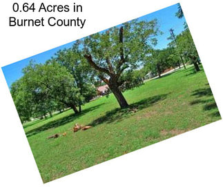 0.64 Acres in Burnet County