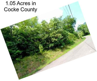1.05 Acres in Cocke County