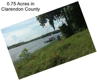 0.75 Acres in Clarendon County