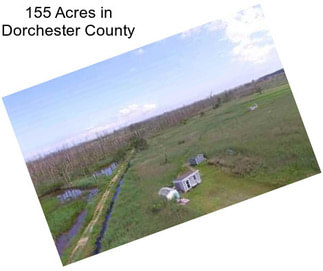 155 Acres in Dorchester County