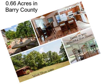 0.66 Acres in Barry County