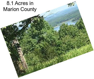 8.1 Acres in Marion County