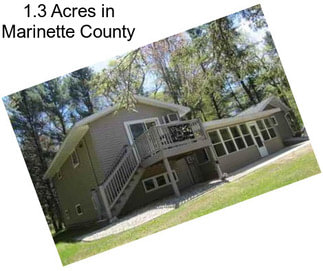 1.3 Acres in Marinette County