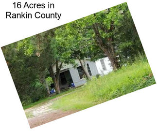 16 Acres in Rankin County