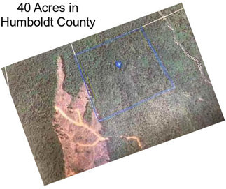 40 Acres in Humboldt County