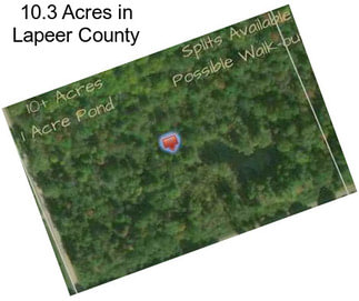 10.3 Acres in Lapeer County