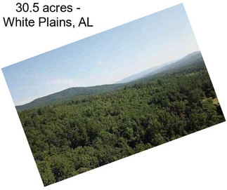 30.5 acres - White Plains, AL