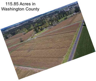 115.85 Acres in Washington County