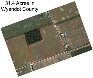 31.4 Acres in Wyandot County
