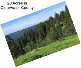 20 Acres in Clearwater County