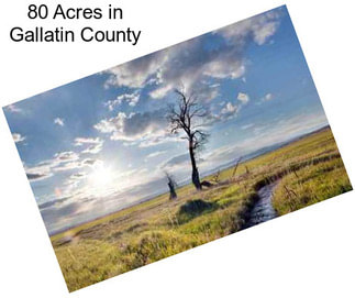 80 Acres in Gallatin County