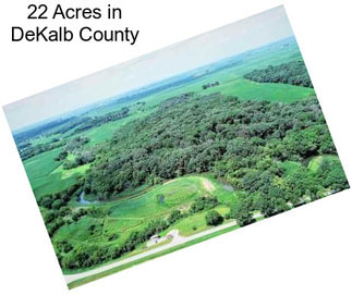 22 Acres in DeKalb County