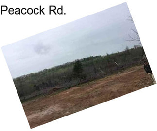 Peacock Rd.