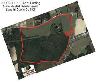 REDUCED!  137 Ac of Hunting & Residential Development Land In Duplin Co NC!