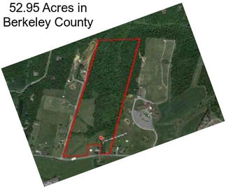 52.95 Acres in Berkeley County