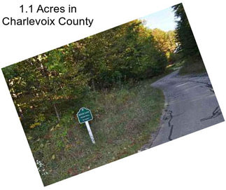 1.1 Acres in Charlevoix County