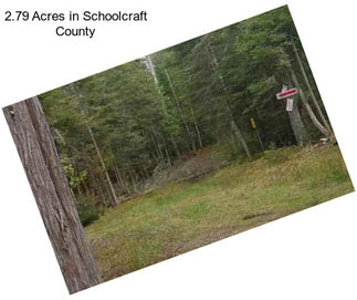 2.79 Acres in Schoolcraft County