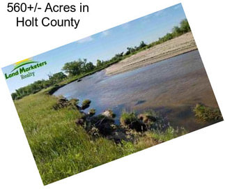 560+/- Acres in Holt County