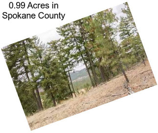 0.99 Acres in Spokane County