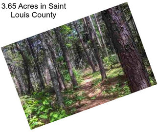 3.65 Acres in Saint Louis County