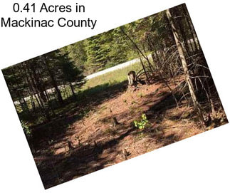 0.41 Acres in Mackinac County