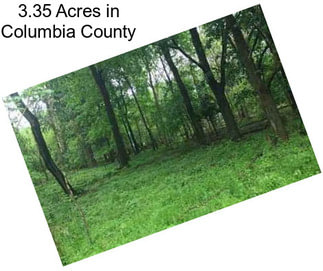 3.35 Acres in Columbia County