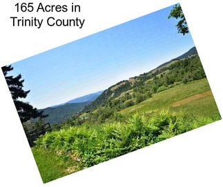 165 Acres in Trinity County
